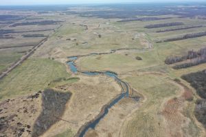 Odtworzone koryto Martwego Ełku