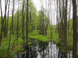 Zakończono prace hydrotechniczne na Kanale Kapickim